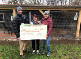 bild-newsletter-spende-tierheim