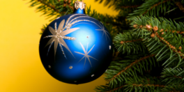 newsletter-weihnachten2