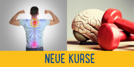newsletter-neue-kurse-2
